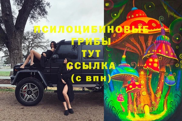 гидра Белоозёрский