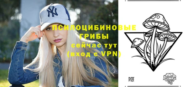 твердый Беломорск