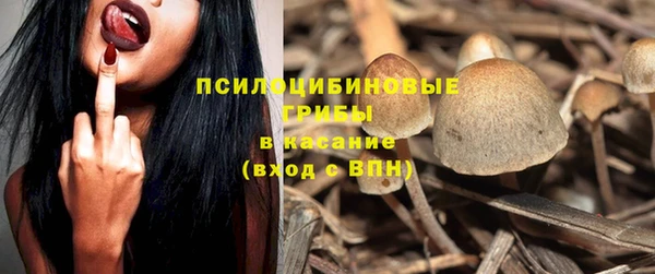гидра Белоозёрский