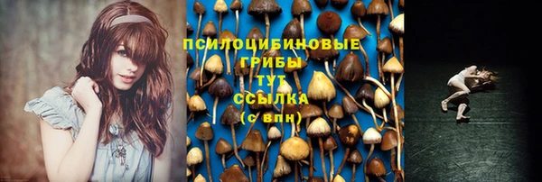 гидра Белоозёрский